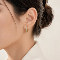 Crystal Pave Gold Plated Earrings - Anti Tarnish