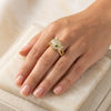 Panther Head Statement Ring - Anti Tarnish Gold Plated