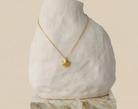 Scallop Shell Pendant Necklace Gold Plated – Anti-Tarnish Korean Style Chain
